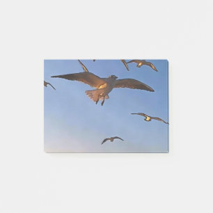 Post-it® Mouettes En Vol Black Outline Art