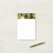 Post-it® Muir Woods Path II Nature Photography (Sur un bureau)
