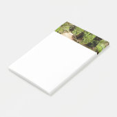 Post-it® Muir Woods Path II Nature Photography (Incliné)