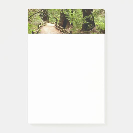 Post-it® Muir Woods Path II Nature Photography (Devant)