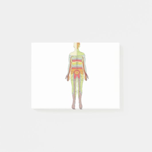 Post-it® Neurologie des dermatomes sensoriels (Devant)