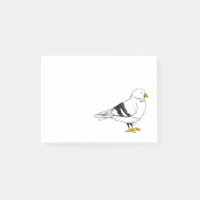 New York City NYC Pigeon Bird Post