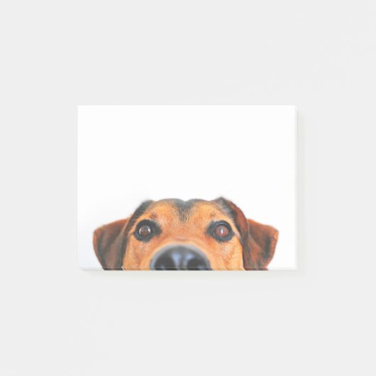 Post-it® Nez de chien mignon horizontal (Devant)