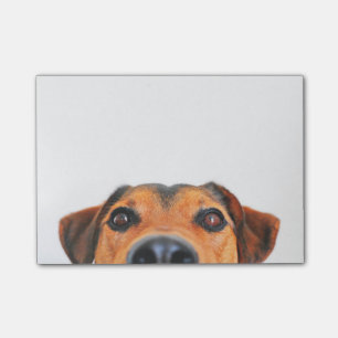 Post-it® Nez de chien mignon horizontal
