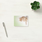 Post-it® Note de post-it de chaton (Bureau)