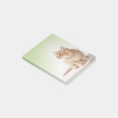 Post-it® Note de post-it de chaton (Incliné)