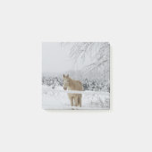 Post-it® note de post-it de cheval (Devant)