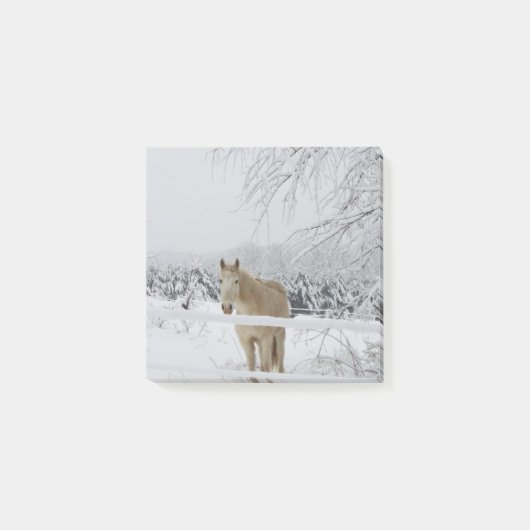 Post-it® note de post-it de cheval (Devant)