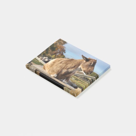 Post-It Notes "Chèvre" (Incliné)