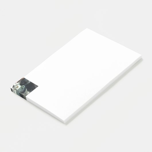 Post-it® Notes de chaton  (Incliné)