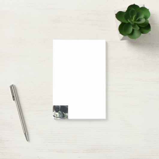Post-it® Notes de chaton de chat (Bureau)