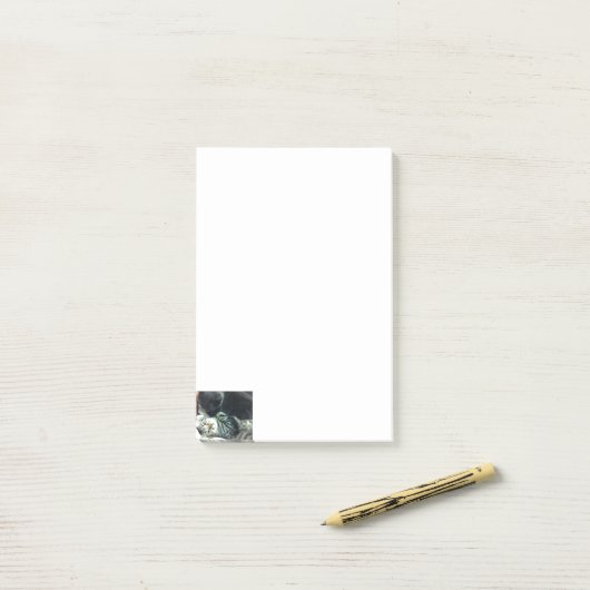 Post-it® Notes de chaton de chat (Sur un bureau)