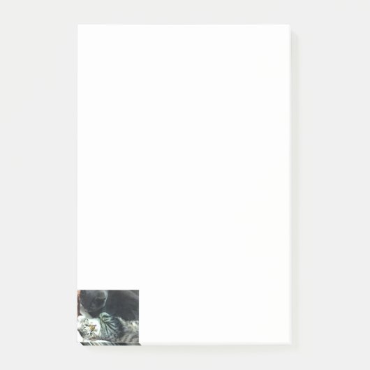 Post-it® Notes de chaton de chat (Devant)