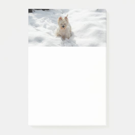Post-it® Notes de chien Westie blanc dans la neige (Devant)