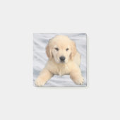 Post-it® Notes de la publication de Golden Retriever Puppy (Devant)