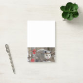 Post-it® Notes de nature de l'opossum  (Bureau)