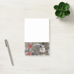 Post-it® Notes de nature de l'opossum