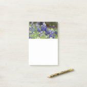Post-it® Notes de post-it de champ de Bluebonnet (Sur un bureau)