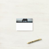 Post-it® Notes de post-it islandaises de cheval (Sur un bureau)