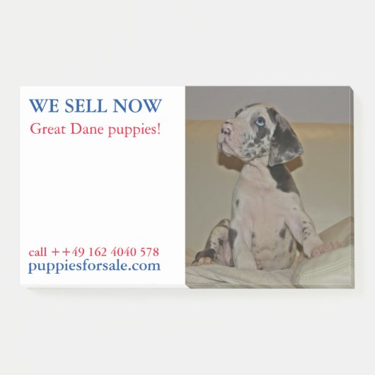 Post-it® Notes de vente de chiots affichées (Devant)