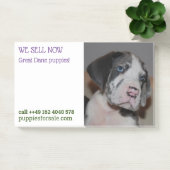 Post-it® Notes de vente de chiots affichées (Bureau)