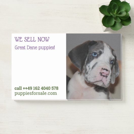 Post-it® Notes de vente de chiots affichées (Bureau)