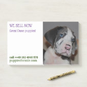 Post-it® Notes de vente de chiots affichées (Sur un bureau)