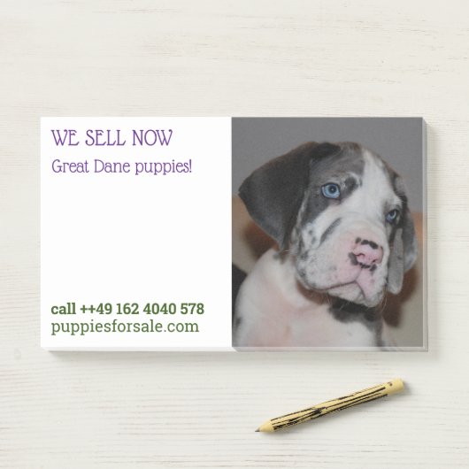 Post-it® Notes de vente de chiots affichées (Sur un bureau)