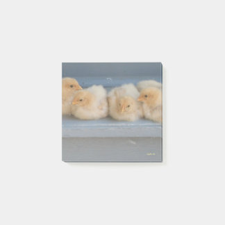 Post-it® Notes post-it