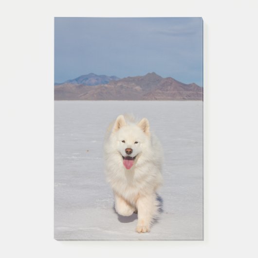 Post-it® Notes post-it de 4 po x 6 po - Salt Flats (Devant)