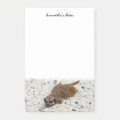 Post-it® Notes post-it de Chillin' Meerkat (Devant)