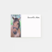 Post-it® Notes post-it du cheval (Devant)