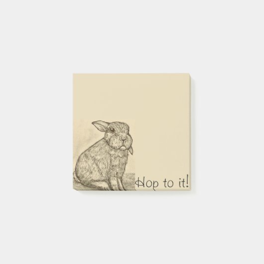 Post-it® Notes postales de Sepia Antique Bunny Rabbit (Devant)