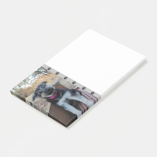 Post-it® Notes postales sur l'attente des chiots