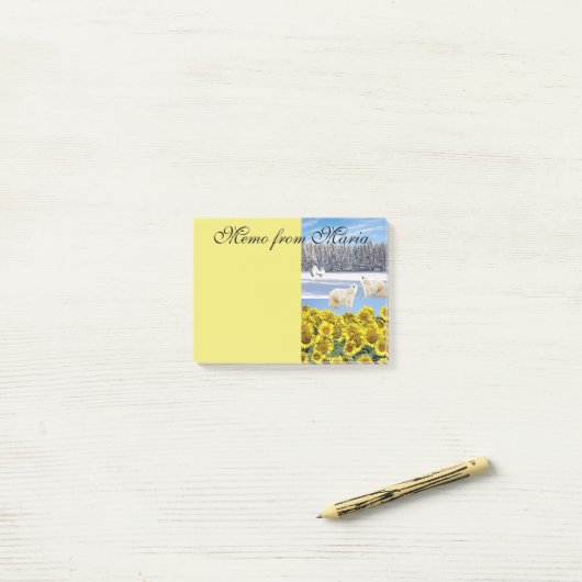 Post-it® Notes Publier des notes, Ours polaire de tournesol (Sur un bureau)