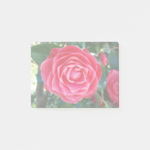 Post-it® notes sur la camélie