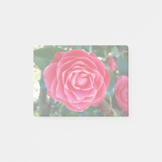 Post-it® notes sur la camélie (Devant)