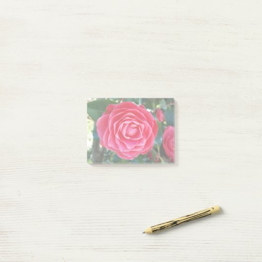 Post-it® notes sur la camélie (Sur un bureau)