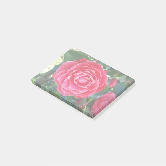 Post-it® notes sur la camélie (Incliné)