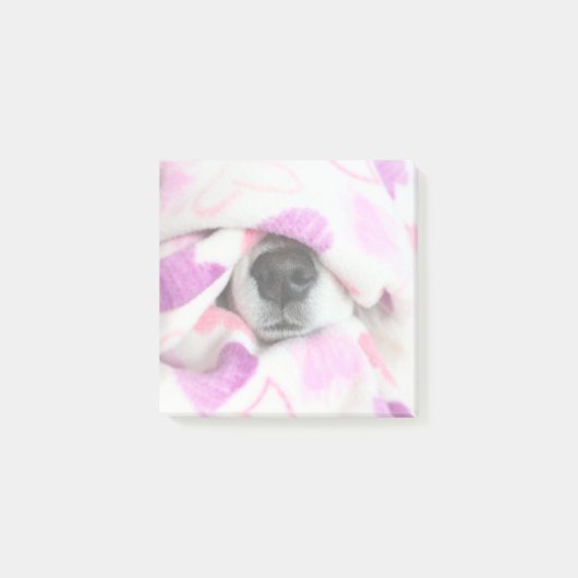 Post-it® Notes sur le billet Dog Nose (Devant)