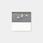 Post-it® Notes sur le canard (Devant)