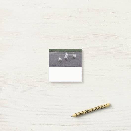 Post-it® Notes sur le canard (Sur un bureau)