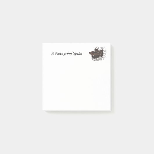 Post-it® Notes sur les poissons de Betta (Devant)