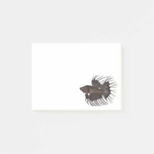 Post-it® Notes sur les poissons de Betta (Devant)