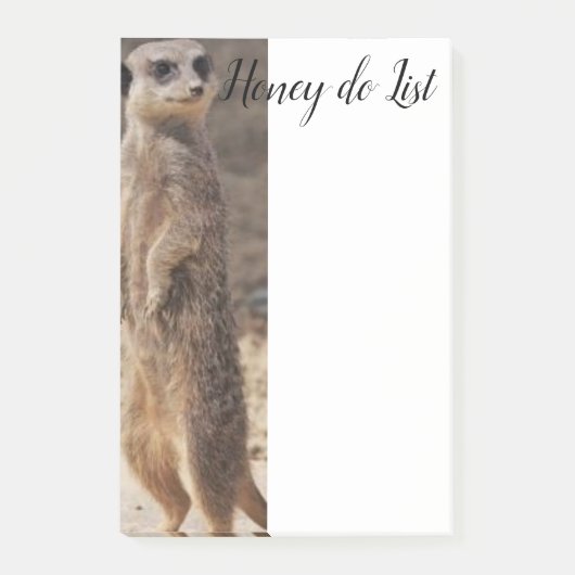 Post-it Notes Suricate (Devant)