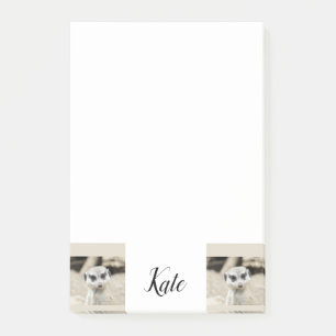 Post-it Notes Suricate