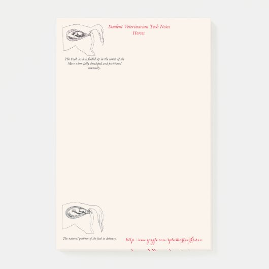 Post-it® "Notes vétérinaires de technologie " (Devant)