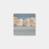 Post-it notities post-it® notes (Voorkant)