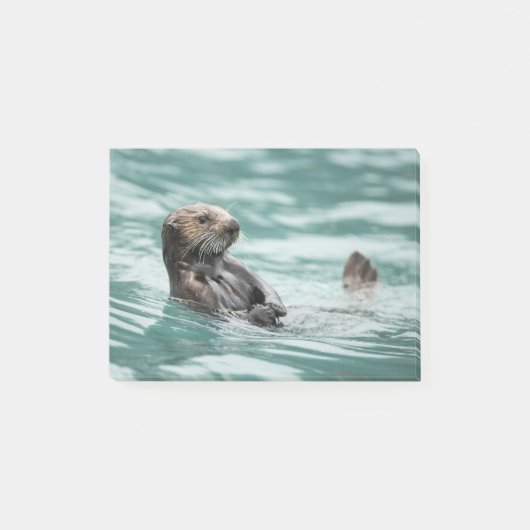 Post-it® Observation de la Loupe de mer (Devant)