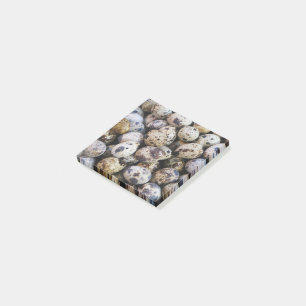 Post-it® Oeufs de caille